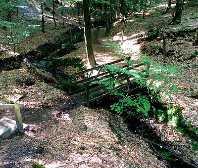 Eine kleine Schlucht mit Brücke auf dem Waldlehrpfad Vosspäddken in Bippen im Osnabrücker Land.