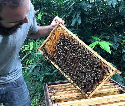 Die Bienen der Bioland-Imkerei in Badbergen im Osnabrücker Land werden artgerecht und in naturbelassenen Holzmagazinen gehalten.